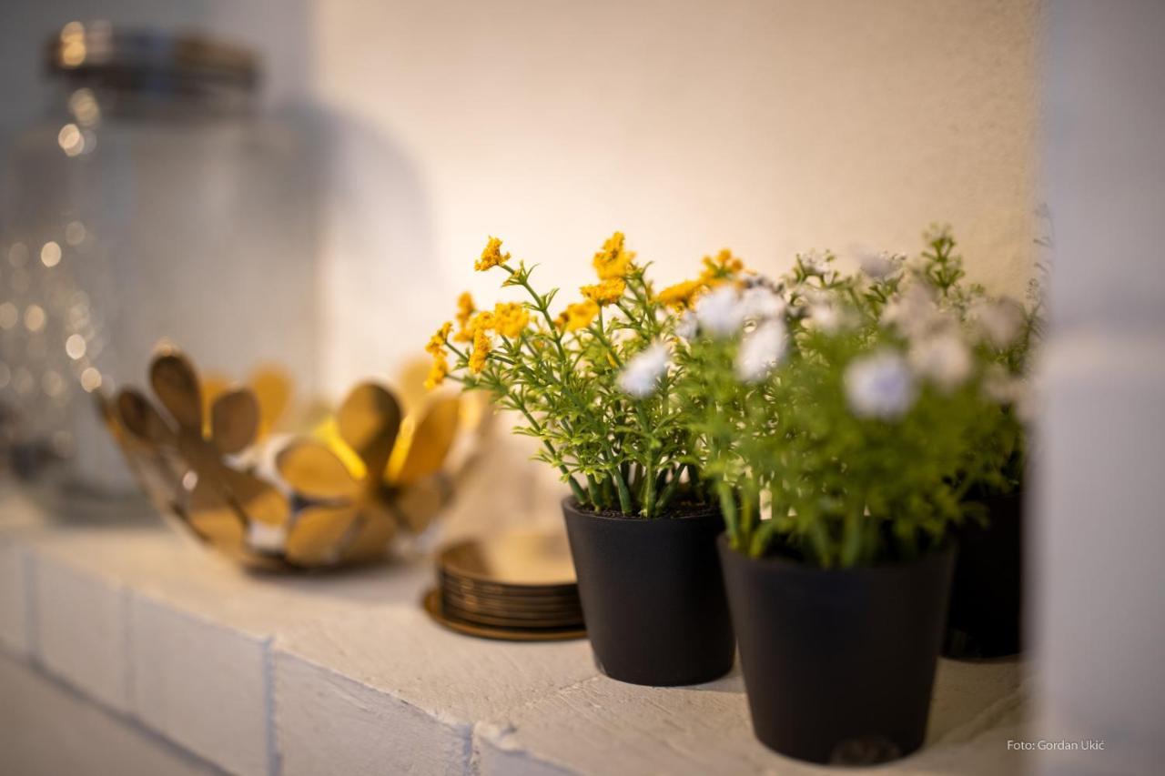 Nata Apartment 4 Stars Rovinj Ngoại thất bức ảnh